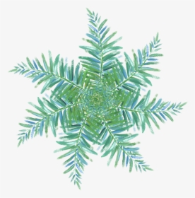Transparent White Watercolor Png - Christmas Tree Watercolour Png, Png Download, Free Download
