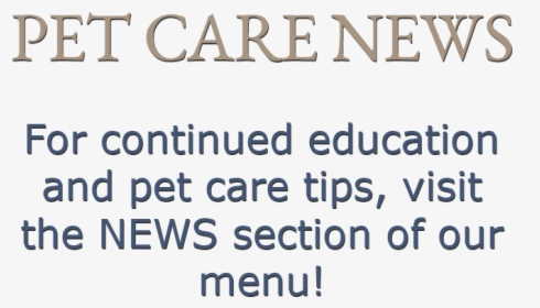 For Continued Education And Pet Care Tips, Visit The - Parallel, HD Png Download, Free Download