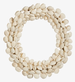11 - Seashell, HD Png Download, Free Download