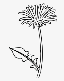 Drawing Spring Easy Transparent Png Clipart Free Download - Dandelion Flower Drawing Easy, Png Download, Free Download