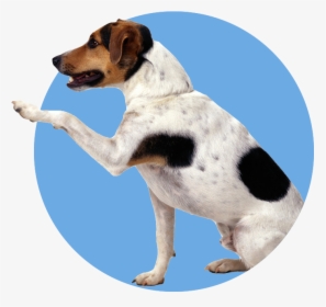 Handshake Dog Png, Transparent Png, Free Download