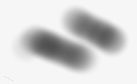 Sombras - Monochrome, HD Png Download, Free Download