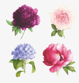 Scented Floral Temporary Tattoos , Png Download - Pink Peony, Transparent Png, Free Download
