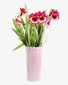 Product Line Tall Flowerpot About@2x - Artificial Flower, HD Png Download, Free Download