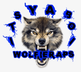 Logos Transparent Background - Wolfieraps Logo, HD Png Download, Free Download