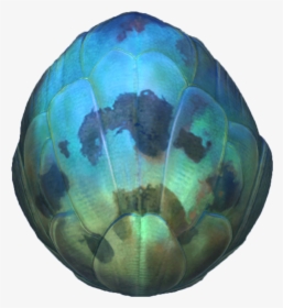 Subnautica Sea Dragon Egg , Png Download - Subnautica Mesmer Egg, Transparent Png, Free Download