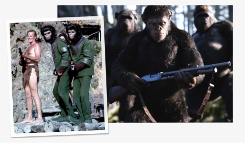 Planet Of The Apes Next To War For The Planet Of The, HD Png Download, Free Download