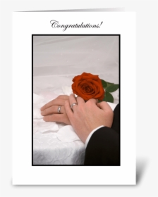 Congratulations Greeting Card - Garden Roses, HD Png Download, Free Download