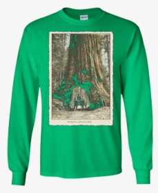 Transparent Redwood Tree Png - T-shirt, Png Download, Free Download