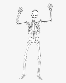 Skeleton Halloween Witch Corps Ghost Skull Spooky - Spooky Scary Skeletons Png, Transparent Png, Free Download