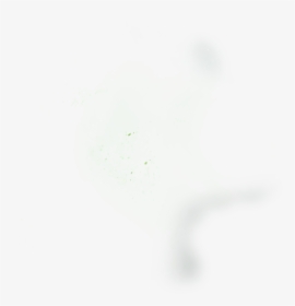 Animal, HD Png Download, Free Download