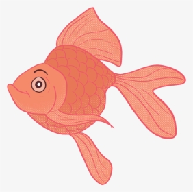 Goldfish, HD Png Download, Free Download