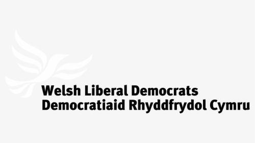 Welsh Liberal Democrats Logo Black And White - Parallel, HD Png Download, Free Download