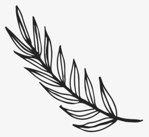 Branch With Long Leaves Rubber Stamp - Leaves Line Art Png, Transparent Png, Free Download