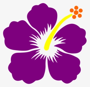 Malvales,plant,flower - Black Transparent Background Hibiscus Clip Art, HD Png Download, Free Download