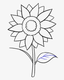 Drawing Journals Flower - Aesthetic Sunflower Drawing Easy, HD Png Download, Free Download