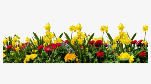 Frühling Png - Flower Garden Background Png, Transparent Png, Free Download