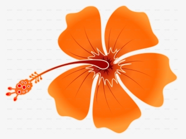 Flower Batik Transparent Background, HD Png Download, Free Download