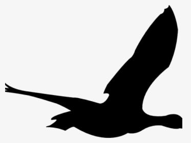 Animated Flying Bird Png, Transparent Png, Free Download