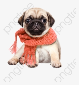 Cute Dog Clipart Cartoon - Dog Png Hd Cute, Transparent Png, Free Download