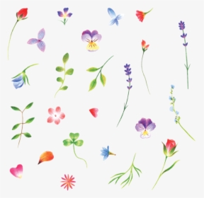 Tiny Flowers .png, Transparent Png, Free Download