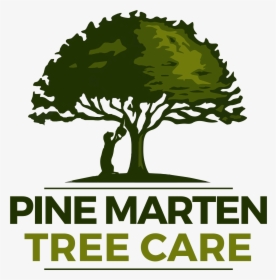 Transparent Free Estimate Png - Tree Logo Hd, Png Download, Free Download