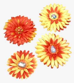 Bedazzled Flowers - Barberton Daisy, HD Png Download, Free Download