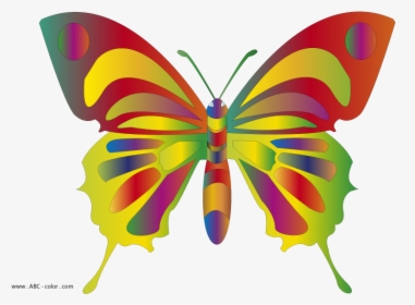 Transparent Lasso Clipart Png - Butterfly Clip Art, Png Download, Free Download
