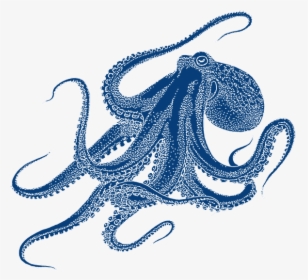 Oktopus Png Project Octopus - Octopus Transparent Png Drawing, Png Download, Free Download