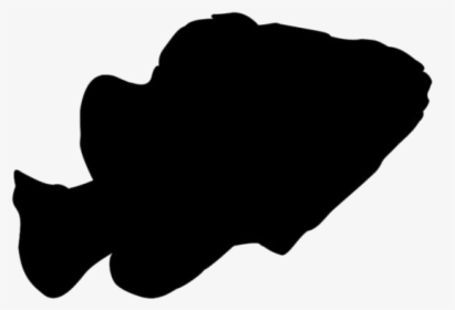 Finding Nemo Png Transparent Images - Desenho Suino Png, Png Download, Free Download