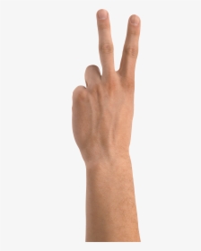 Two Finger Hand - Hand Two Fingers Png, Transparent Png, Free Download