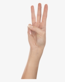 Nail Clipart Womens Hand, HD Png Download, Free Download
