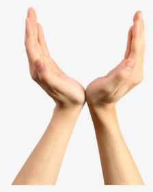 Hands Png, Hand Image Photo, Transparent Png, Free Download