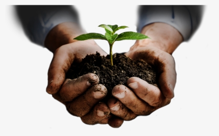 Soil In Hands Png, Transparent Png, Free Download