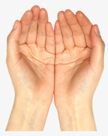 Hands Png Images, Transparent Png, Free Download