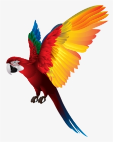 Png Free Library Ftestickers Colorful Bird Sticker, Transparent Png, Free Download