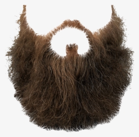 Mustache Brown Beard, HD Png Download, Free Download