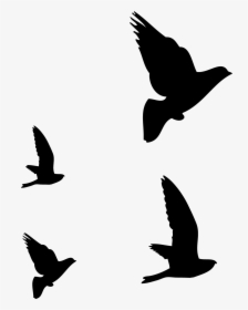 Hummingbird Flight Silhouette Drawing, HD Png Download, Free Download