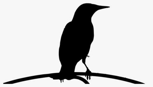 Isolated Birds Png, Transparent Png, Free Download