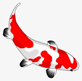 Koi Fish Clip Art Png Pinterest Koifishclipartpng Ⓒ, Transparent Png, Free Download