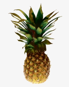 Pineapple Png Image, Free Download, Transparent Png, Free Download