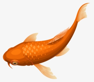 Orange Fish Transparent Clip, HD Png Download, Free Download