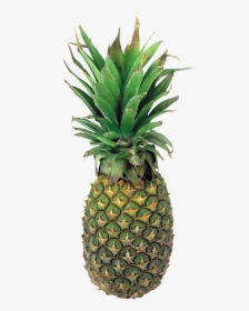 Pineapple Png Transparent, Png Download, Free Download