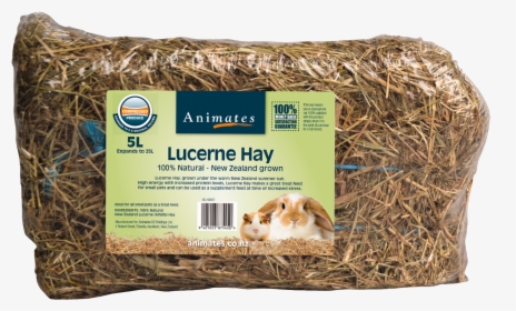 Hay,small Animal Food,guinea Pig,grass,pet Supply,rodent,bird, HD Png Download, Free Download