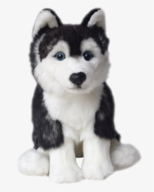 Transparent Husky Puppy Png, Png Download, Free Download
