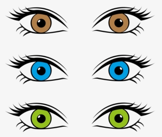 Eye Color Retina Iris, HD Png Download, Free Download