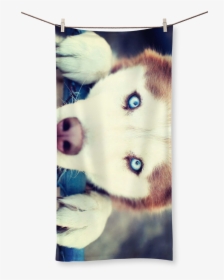Husky Puppy Png, Transparent Png, Free Download