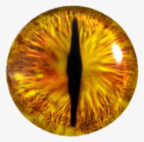 #cateye #eye #iris, HD Png Download, Free Download