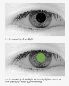 Infrared Eye Trackers, HD Png Download, Free Download