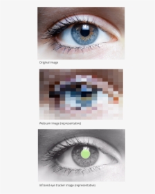 Webcam Eye Tracker Ir Comparison, HD Png Download, Free Download